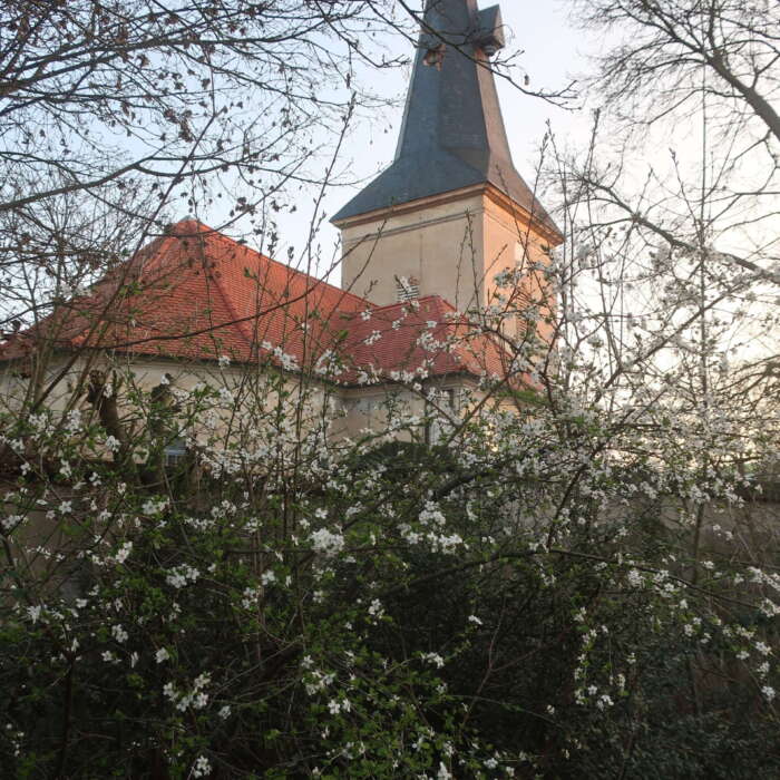 Kirche Neustadt